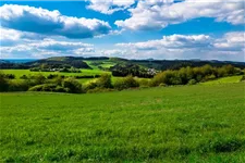 Honig aus der Eifel Blütenhonig 500g