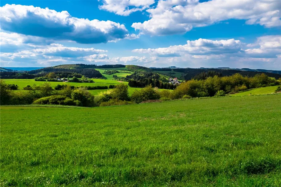 Honig aus der Eifel Blütenhonig 500g