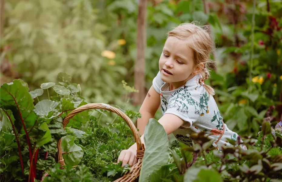 Jetzt kann geerntet werden! Kinder spielerisch einbeziehen