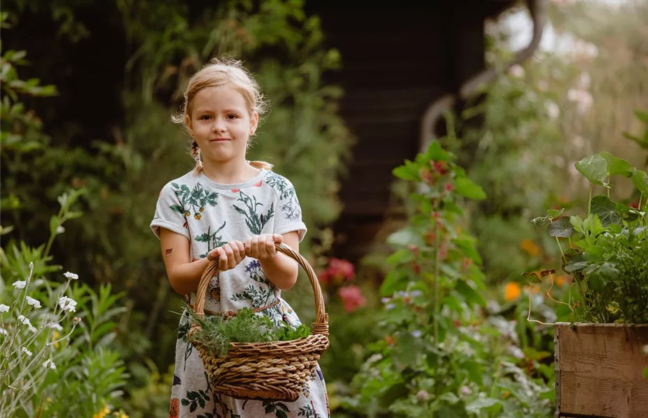 Jetzt kann geerntet werden! Kinder spielerisch einbeziehen