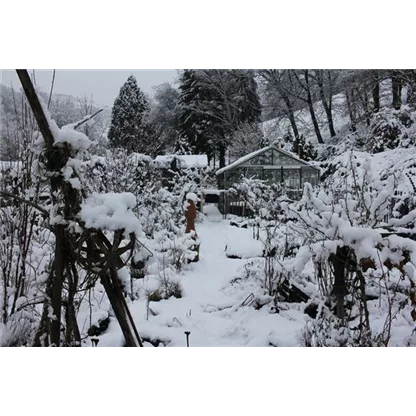 Gewächshaus im Winter – wächst hier noch was?