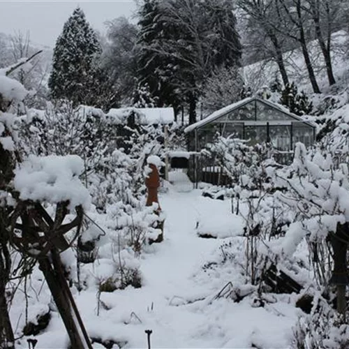 Gewächshaus im Winter – wächst hier noch was?