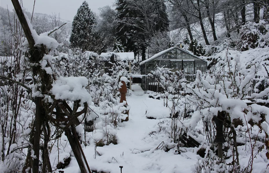 Gewächshaus im Winter – wächst hier noch was?