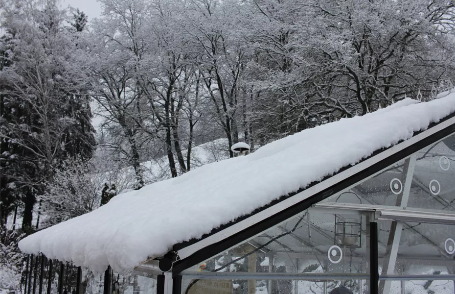 Gewächshaus im Winter – wächst hier noch was?