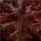 heuchera-melting-fire100.jpg