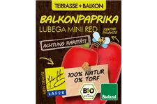 Bio Balkonpaprika rot 12 cm Topf