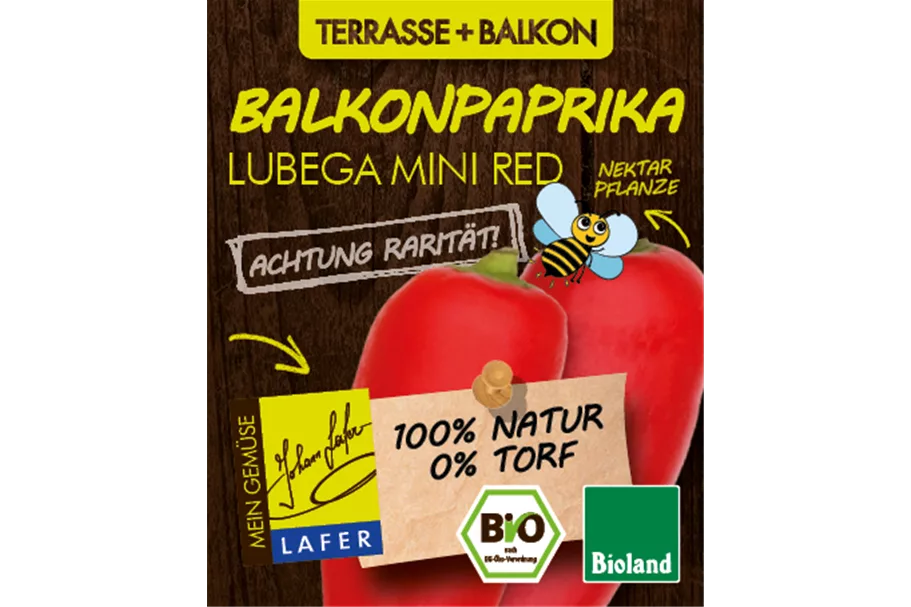 Bio Balkonpaprika rot 12 cm Topf