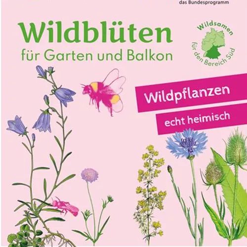 Heimische Wildblüten aussäen - Wildstauden pflanzen