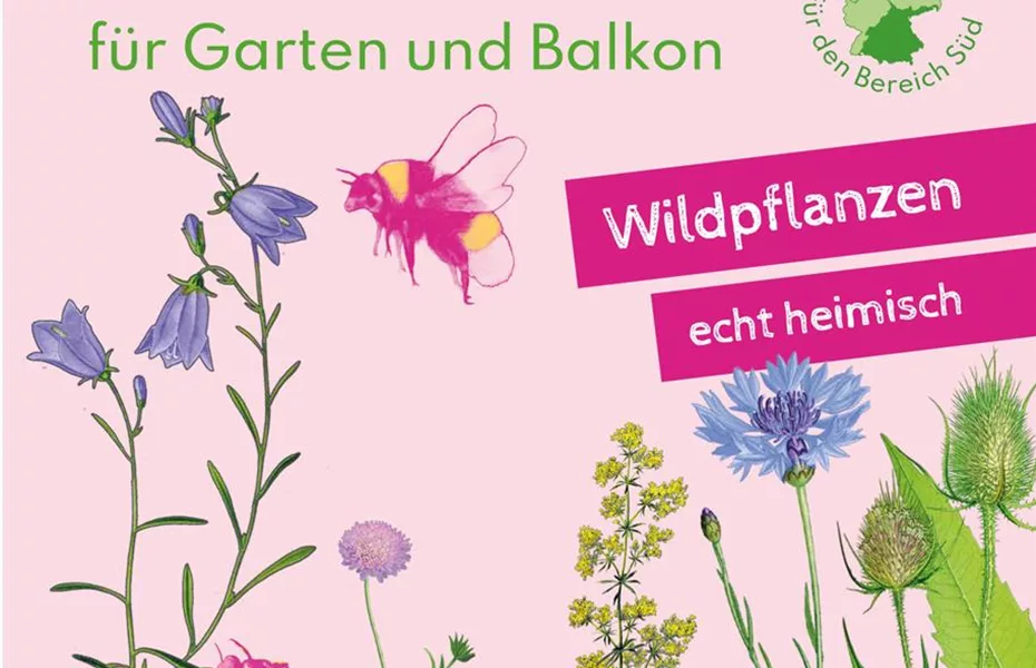 Heimische Wildblüten aussäen - Wildstauden pflanzen