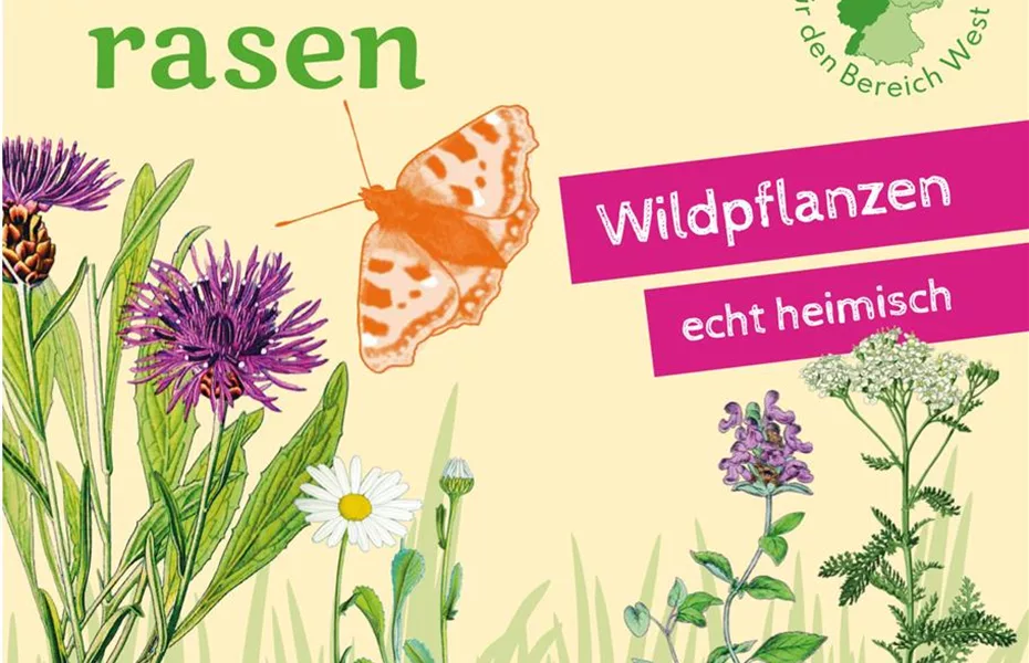 Heimische Wildblüten aussäen - Wildstauden pflanzen