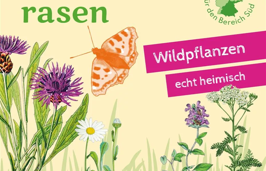 Heimische Wildblüten aussäen - Wildstauden pflanzen