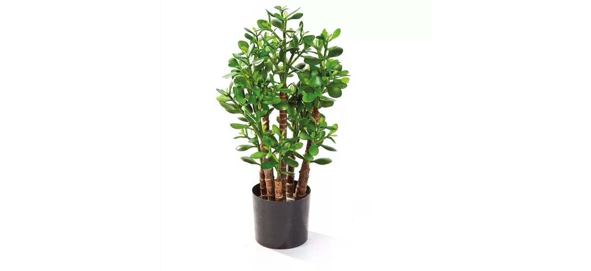 CRASSULA OVATA Kunstpflanze 60 cm