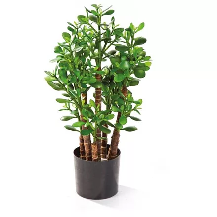 CRASSULA OVATA Kunstpflanze