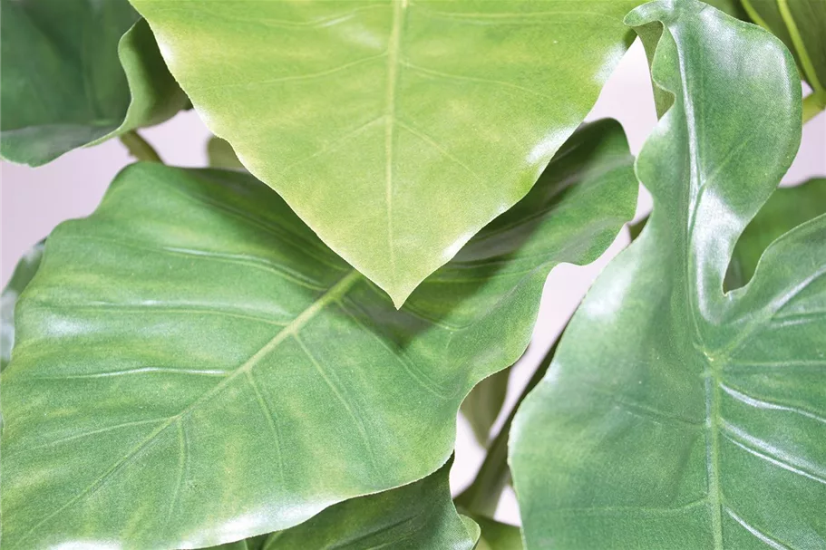 ALOCASIA CALIDORA DELUXE Kunstpflanze 125 cm