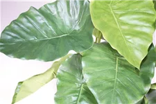 ALOCASIA CALIDORA DELUXE Kunstpflanze 125 cm