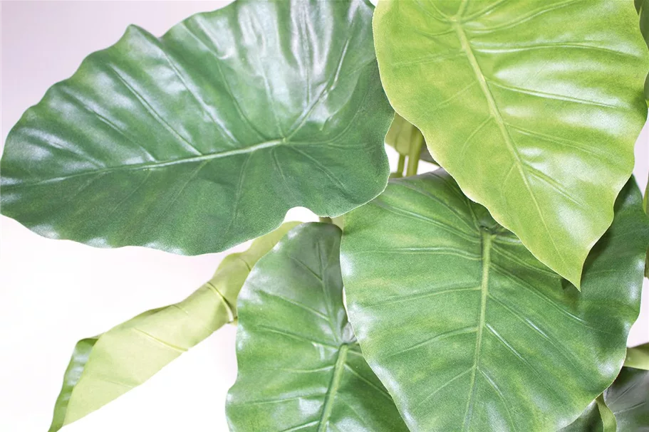 ALOCASIA CALIDORA DELUXE Kunstpflanze 125 cm