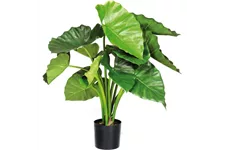 fleur ami ALOCASIA CALIDORA Kunstpflanze 60 cm