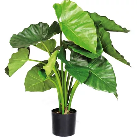 fleur ami ALOCASIA CALIDORA Kunstpflanze