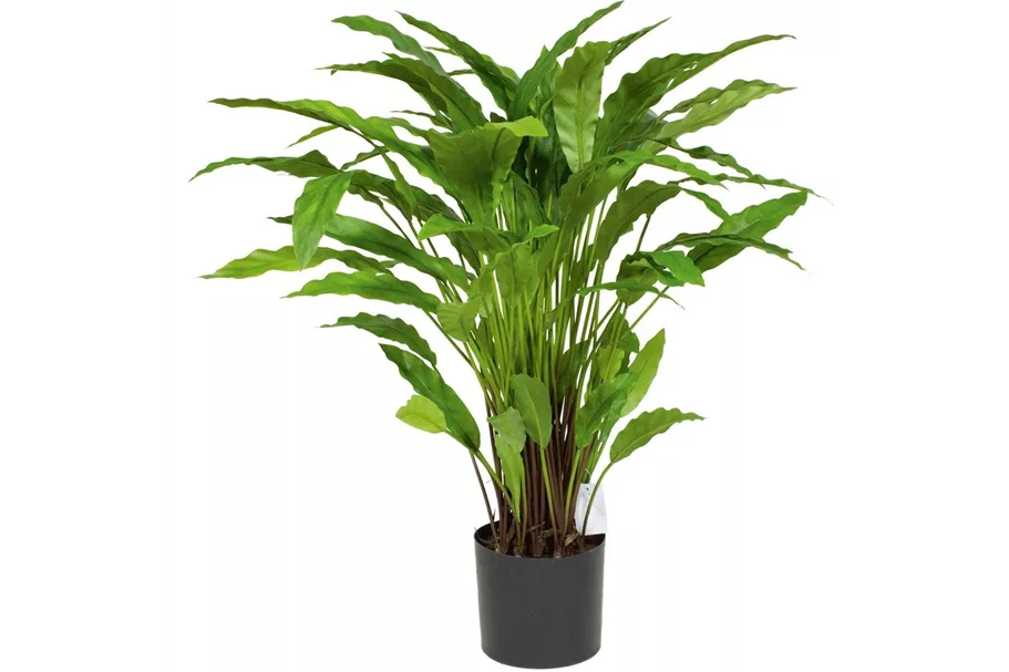 fleur ami CALATHEA Kunstpflanze 85 cm