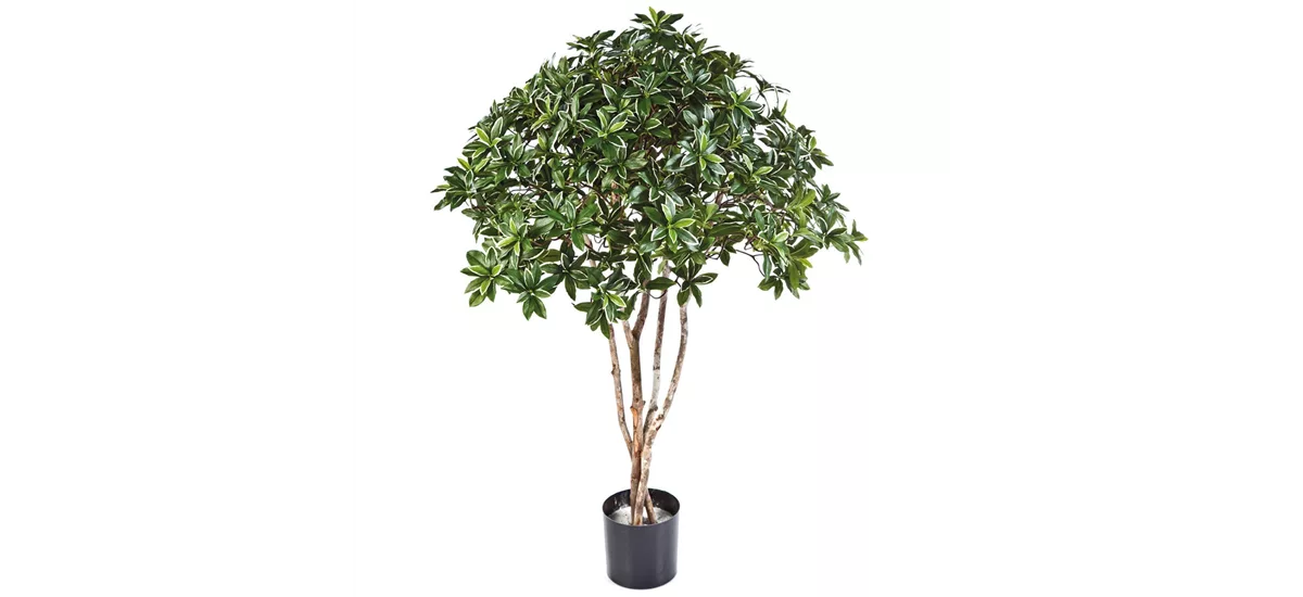 EUONYMUS JAPONICUS Kunstpflanze 120 cm