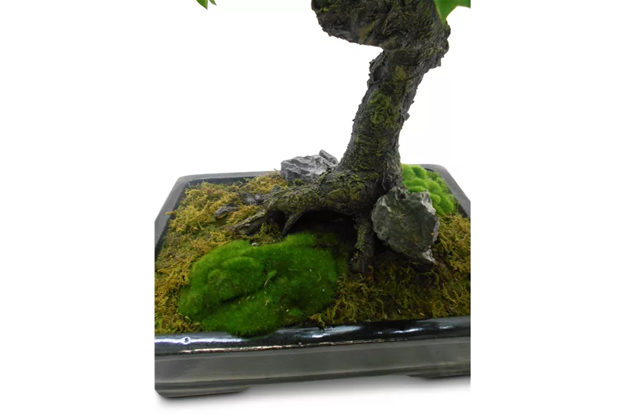 FICUS BONSAI Kunstpflanze 95 cm