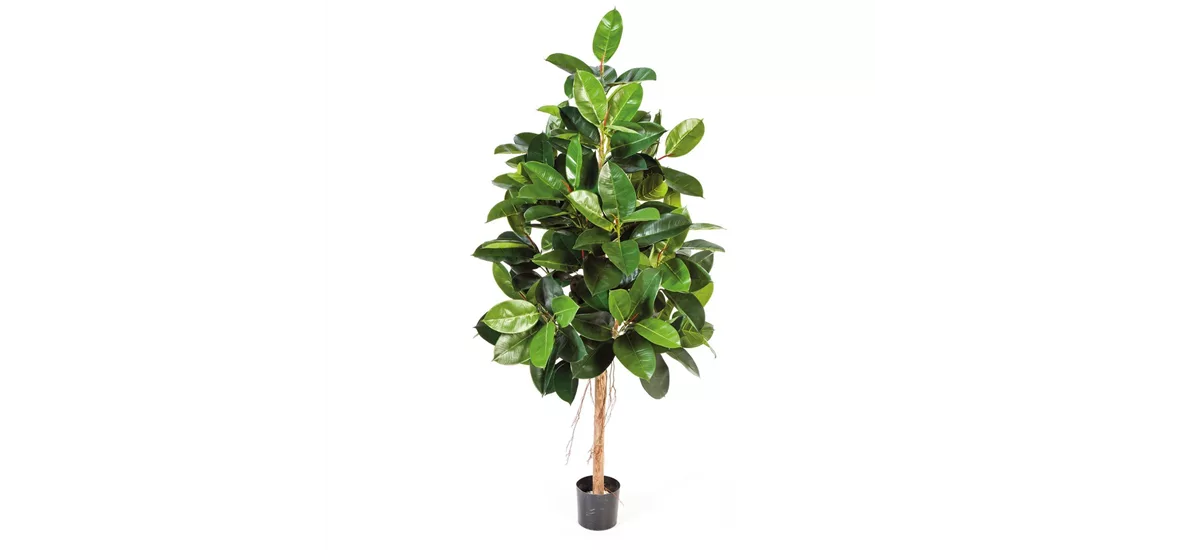 fleur ami FICUS ELASTICA Kunstpflanze 180 cm