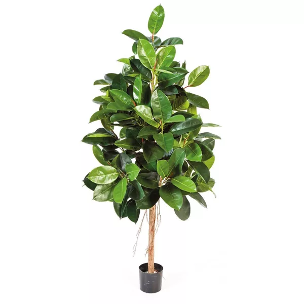 fleur ami FICUS ELASTICA Kunstpflanze