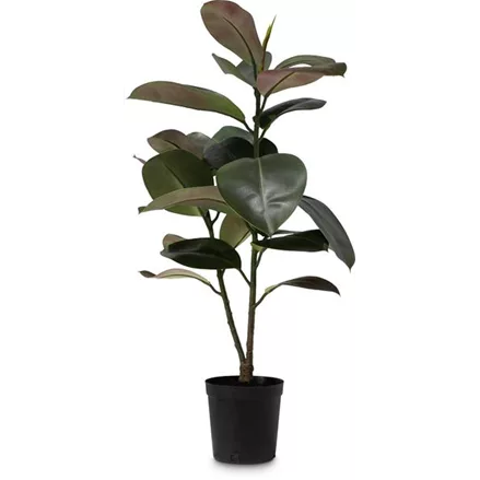 FICUS ELASTICA Kunstpflanze