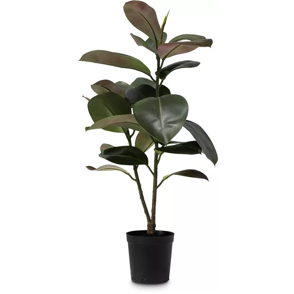 FICUS ELASTICA Kunstpflanze