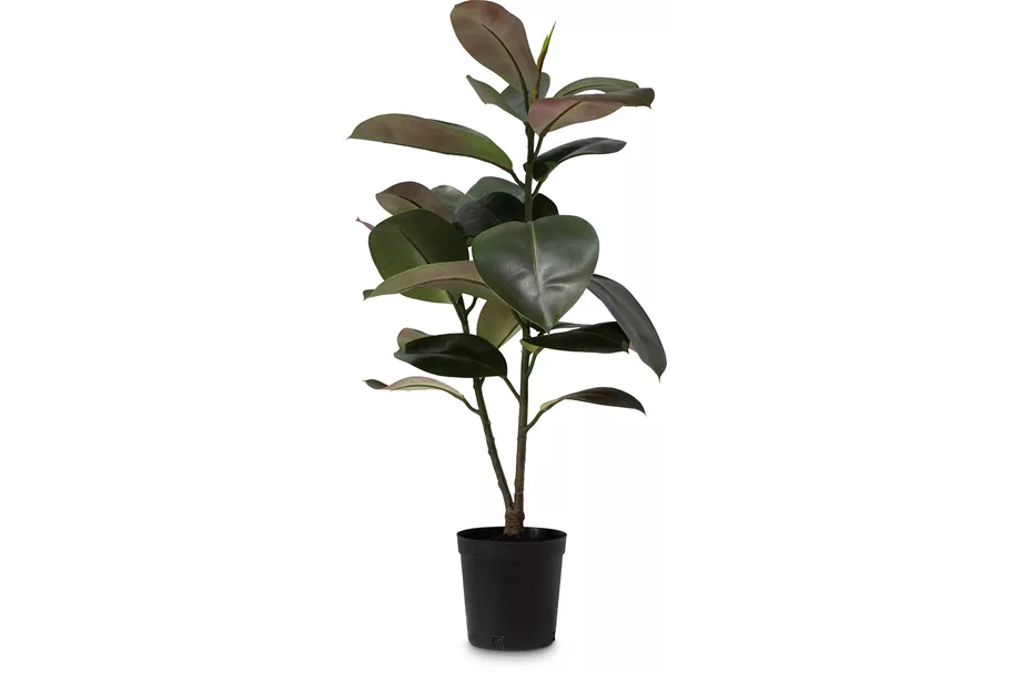 FICUS ELASTICA Kunstpflanze 95 cm