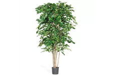 FICUS EXOTICA DELUXE Kunstpflanze 180 cm