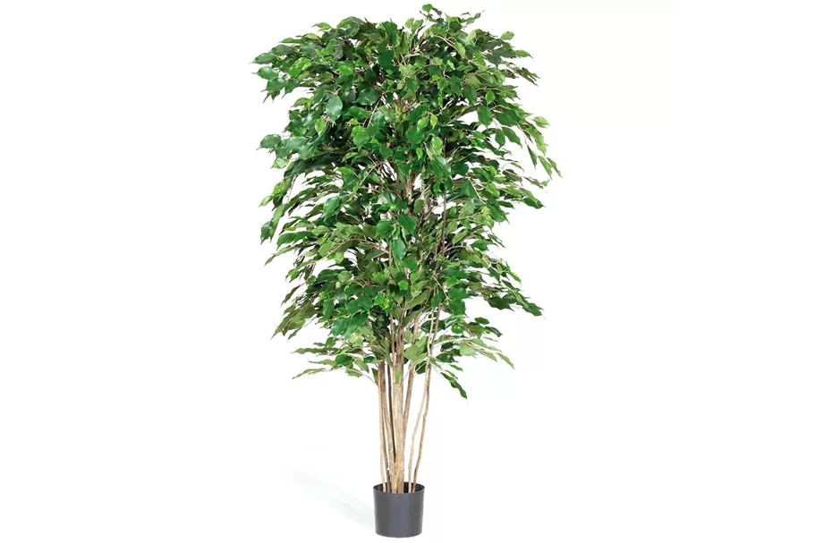 FICUS EXOTICA DELUXE Kunstpflanze 180 cm