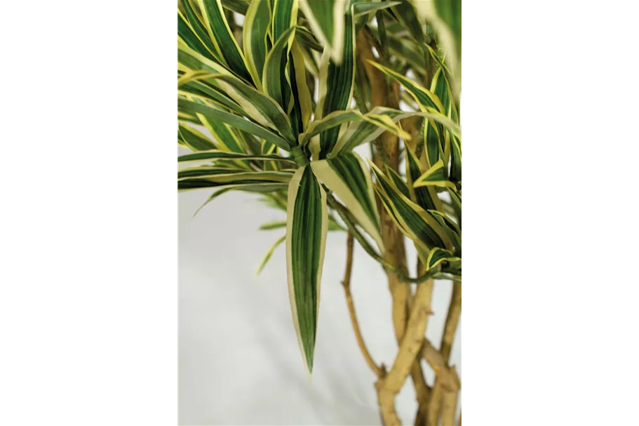 fleur ami DRACAENA REFLEXA Kunstpflanze 100 cm