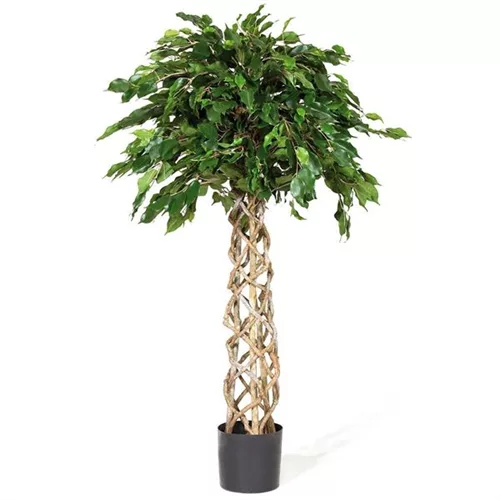 FICUS EXOTICA KUGEL Kunstpflanze