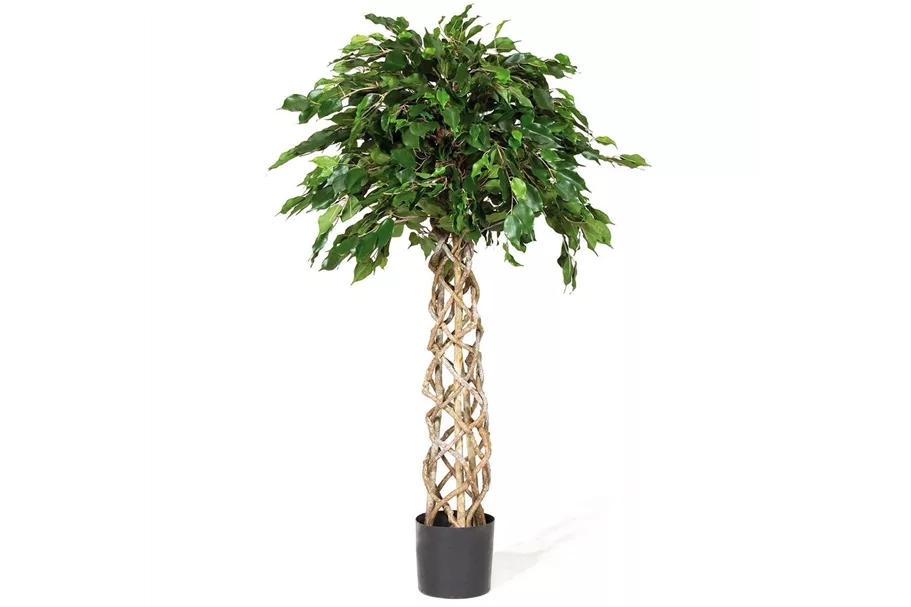 FICUS EXOTICA KUGEL Kunstpflanze 150 cm