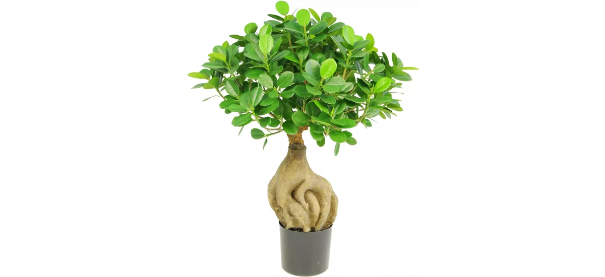 FICUS PANDA BONSAI Kunstpflanze 45 cm