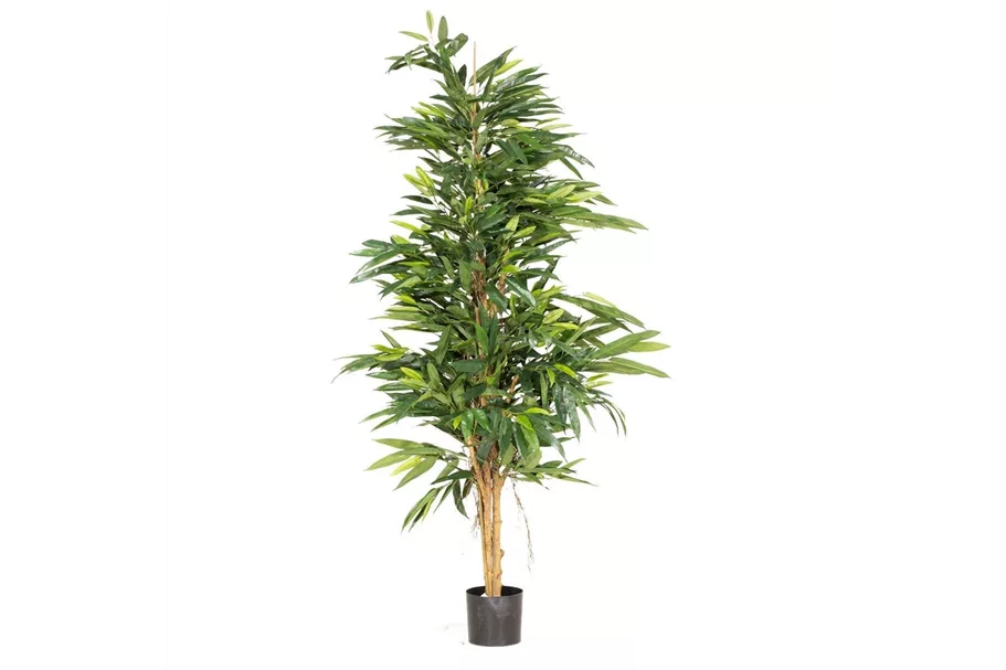 fleur ami LONGIFOLIA ROYAL NATURAL Kunstpflanze 150 cm