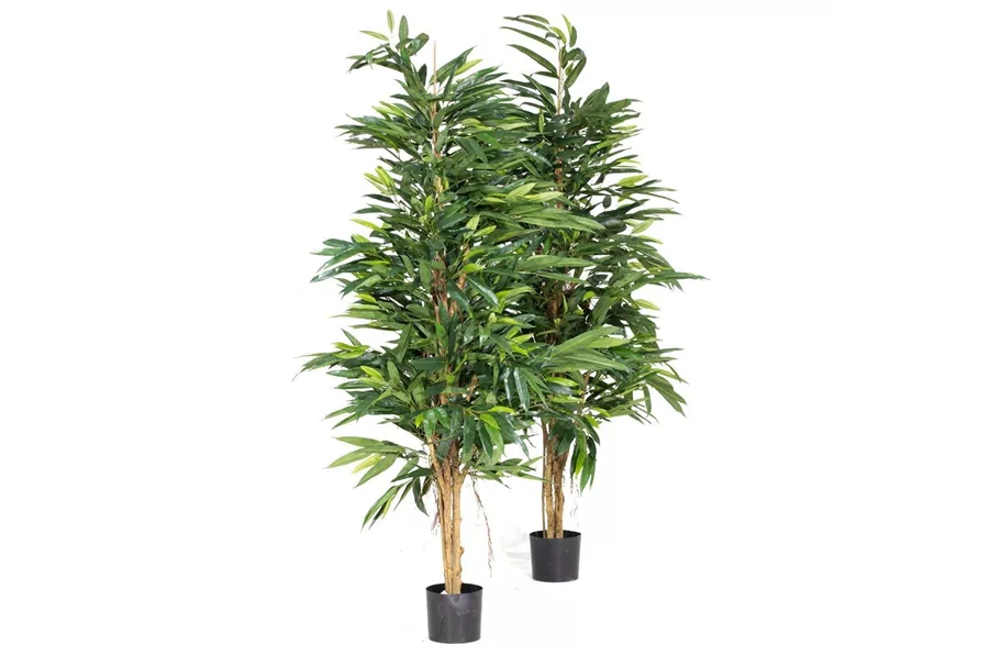 fleur ami LONGIFOLIA ROYAL NATURAL Kunstpflanze 150 cm