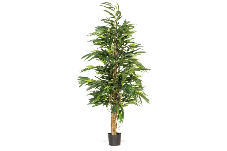 LONGIFOLIA ROYAL NATURAL Kunstpflanze 180 cm