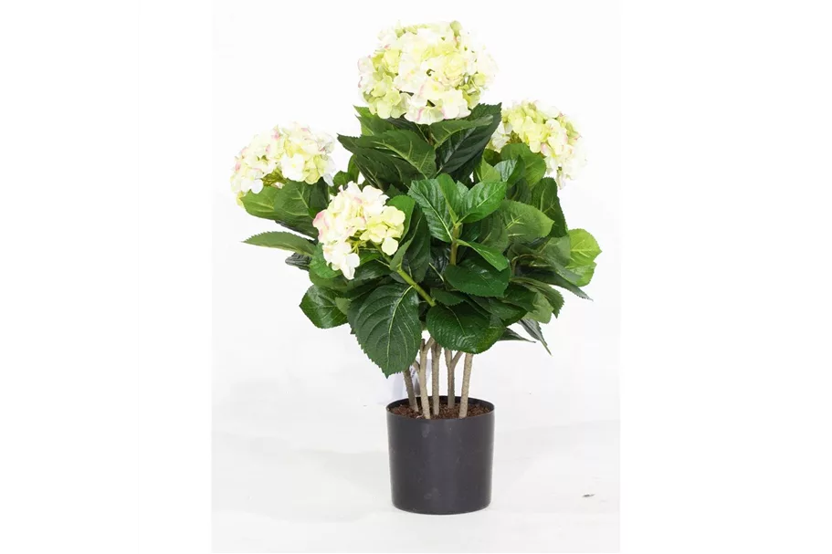 HORTENSIE Kunstpflanze 53 cm, creme