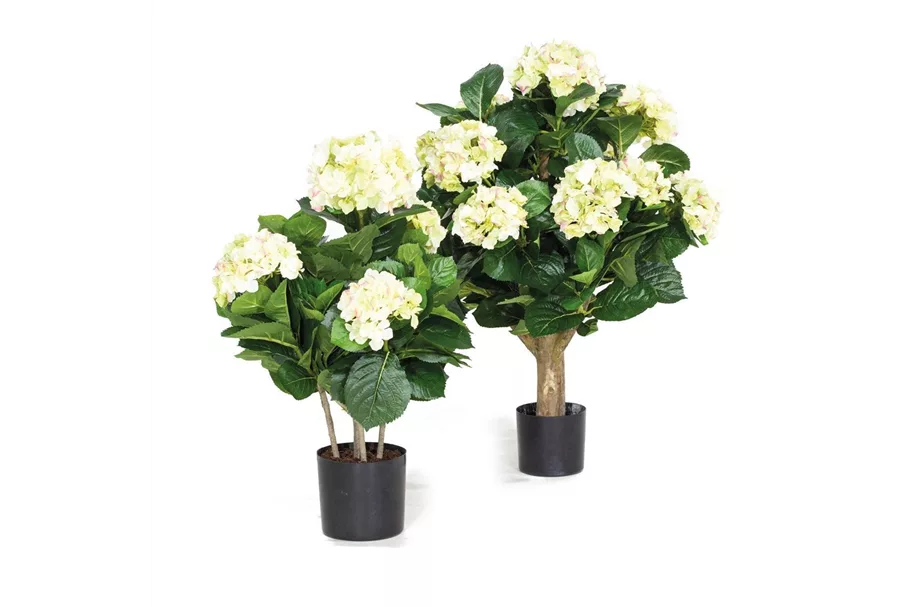 HORTENSIE Kunstpflanze 53 cm, creme