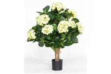 HORTENSIE Kunstpflanze 62 cm, creme