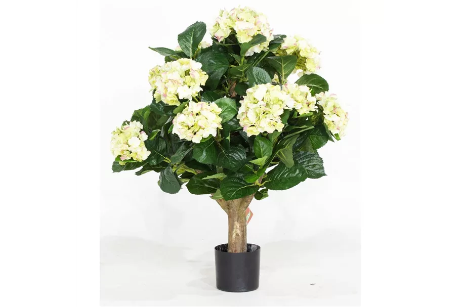 HORTENSIE Kunstpflanze 62 cm, creme