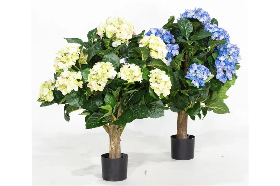 HORTENSIE Kunstpflanze 62 cm, creme