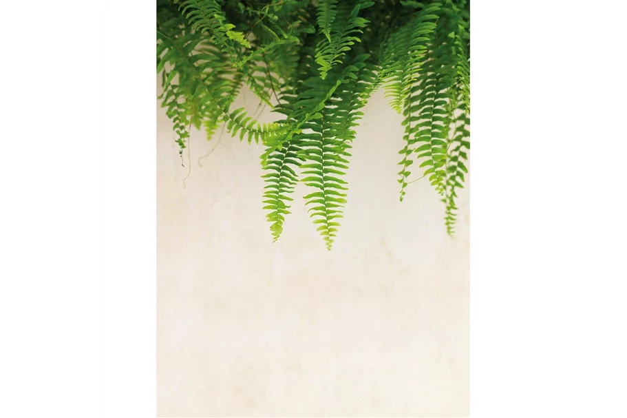 POLYSTONE DIVIDE Raumteiler 100x35/80 cm, crème