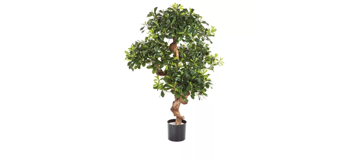 PITTOSPORUM Kunstpflanze 120 cm