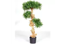 PODOCARPUS BONSAI Kunstpflanze 120 cm