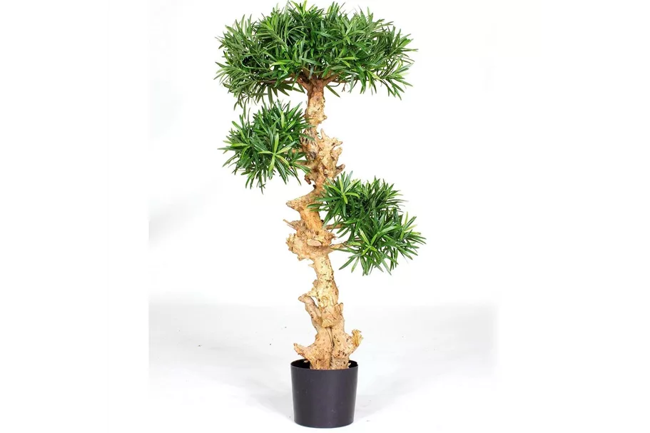 PODOCARPUS BONSAI Kunstpflanze 120 cm