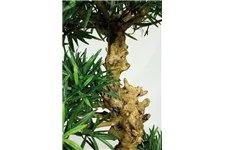 PODOCARPUS BONSAI Kunstpflanze 120 cm