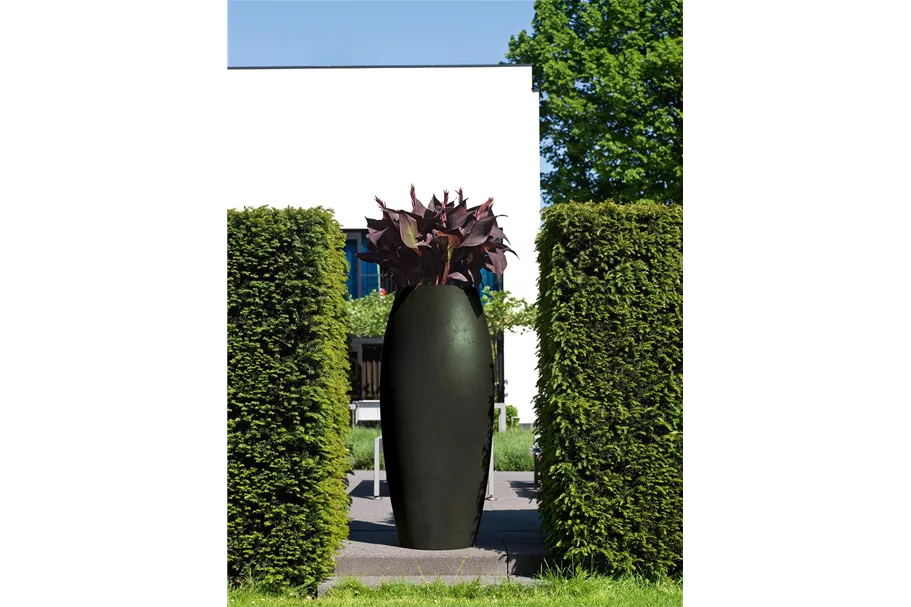 POLYSTONE ESSENCE Pflanzgefäß 65/150 cm, anthrazit